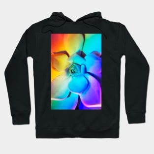 Rainbow echeveria Hoodie